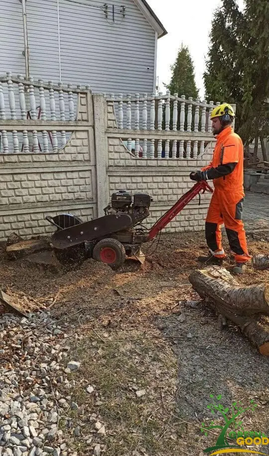 измельчение пней